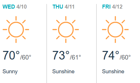 Rain or shine, AONE 2019 promises innovative and insightful ideas and solutions for nursing leaders.