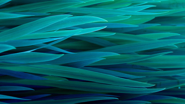 <span id="hs_cos_wrapper_name" class="hs_cos_wrapper hs_cos_wrapper_meta_field hs_cos_wrapper_type_text" style="" data-hs-cos-general-type="meta_field" data-hs-cos-type="text" >Patient Flow and Smart Data: Ideal Together</span>